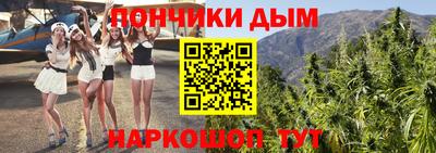 apvp Новодвинск